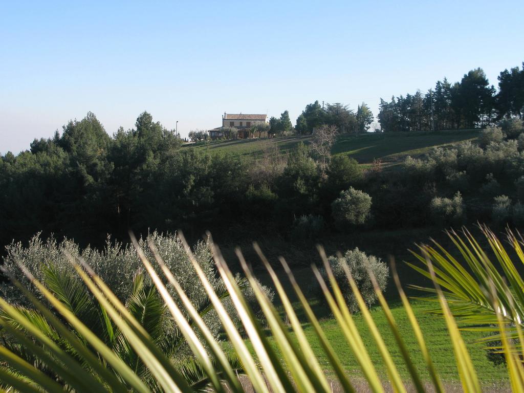 Briciola Di Sole Casa de hóspedes Grottammare Exterior foto
